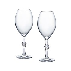 Набор из 2-х фужеров для шампанского JCB Passion Baccarat