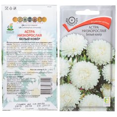 Семена Астра Белый ковер низкорослая ("1), 0.2 г, в цветной упаковке Поиск