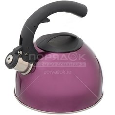 Чайник из нержавеющей стали Daniks MSY-024V со свистком, 3 л