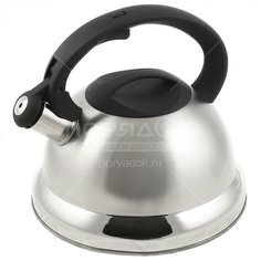 Чайник из нержавеющей стали Daniks MSY-013 со свистком, 3 л