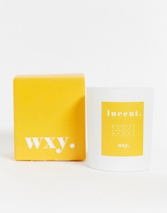 Свеча с ароматом грейпфрута и кедра WXY. Lucent., 200 г-Бесцветный