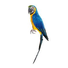 Попугай декоративный Shishi ny голубой 70 см