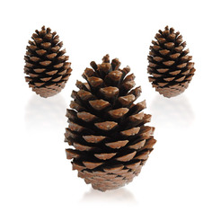 Шишки декоративные Kaemingk 3 шт 707389