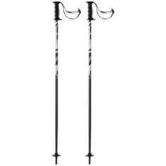 Палки горнолыжные Tecnopro Carve JR Black/Silver/Anth - 70 см