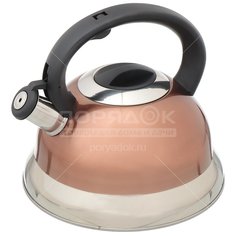 Чайник из нержавеющей стали Daniks M-013 со свистком, 3 л