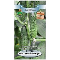 Семена Огурца ПОИСК