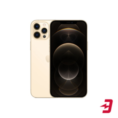 Смартфон Apple iPhone 12 Pro Max 256GB Gold (MGDE3RU/A)