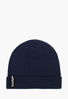 Шапка True Spin Basic Beanie