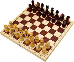 Шахматы Рыжий кот