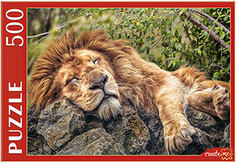 Пазлы Рыжий кот