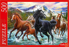 Пазлы Рыжий кот