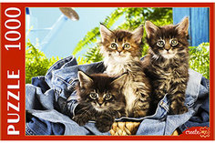 Пазлы Рыжий кот