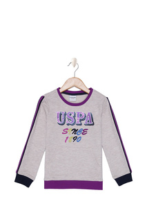 Худи U.S. Polo Assn.
