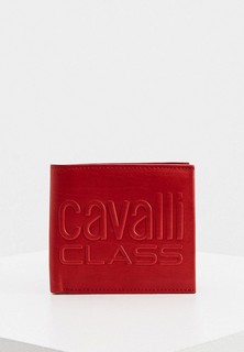 Кошелек Cavalli Class 