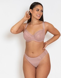 Розовые трусики из прозрачной сетчатой ткани с кружевной отделкой Curvy Kate Eye Spy-Розовый цвет