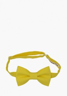Бабочка Rainbowtie 