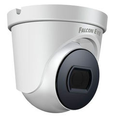 Видеокамера Falcon Eye FE-IPC-D2-30p (белый)