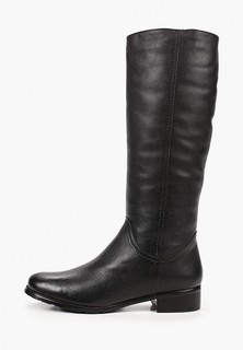 Сапоги Enzo Logana 