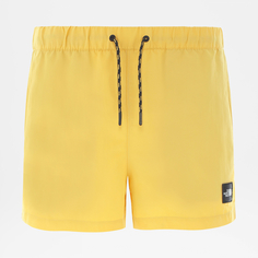Мужские шорты Masters Of Stones Shorts The North Face