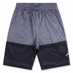 Подростковые шорты Jumpman Air Graphic Mesh Shorts Jordan