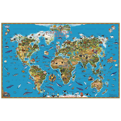 Настольная двусторонняя карта Ди Эм Би Мир. Обитатели Земли