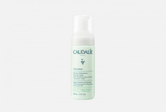 Очищающий мусс Caudalie