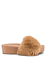 Шлепанцы raine - Steve Madden