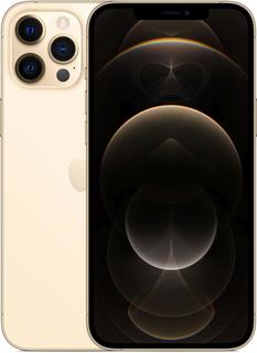 Мобильный телефон Apple iPhone 12 Pro Max 256GB (золотой)