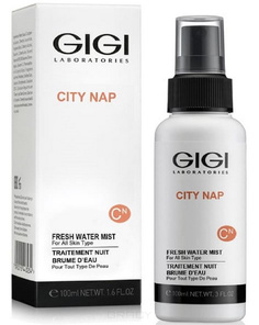Domix, Лосьон спрей для лица Водяной туман City NAP Water Mist, 100 мл Gi Gi