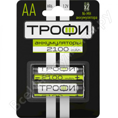 Аккумуляторная батарея ТРОФИ