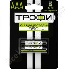 Аккумуляторная батарея ТРОФИ