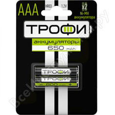 Аккумуляторная батарея ТРОФИ