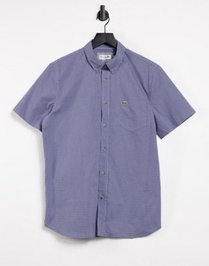 Хлопковая рубашка классического кроя в клетку Lacoste-Темно-синий