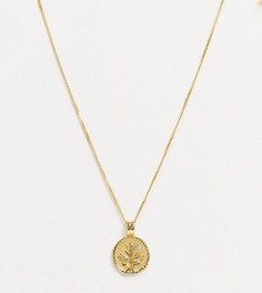 Ожерелье с позолотой 18 карат и подвеской в виде монеты с цветущим деревом Astrid & Miyu-Золотистый