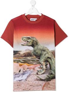 Molo футболка Dinosaurs с фотопринтом