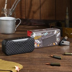Набор портативная колонка luazon man lab-50 + флешка 8 гб, 3 вт, microsd, aux, usb, черная