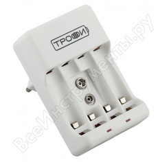 Зарядное устройство ТРОФИ