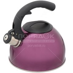 Чайник из нержавеющей стали Daniks MSY-024V со свистком, 3 л