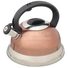 Чайник из нержавеющей стали Daniks M-013 со свистком, 3 л