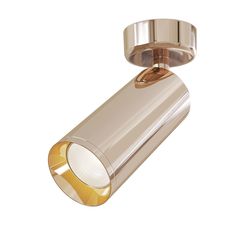 Светильник потолочный Maytoni C017CW-01RG