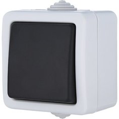 Выключатель CROSSLINK AQUA 1 клавиша серый