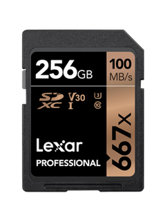 Карта памяти 256Gb - Lexar Professional SDXC 667X UHS-I Class 10 U3 V30 LSD256B667