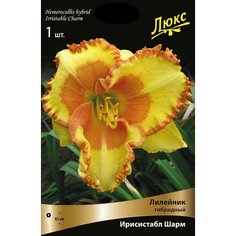 Луковица лилейника ПОИСК Без бренда