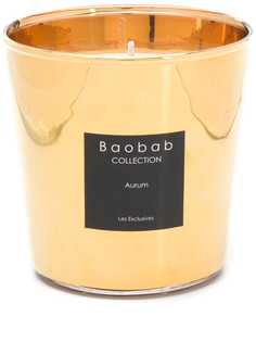Baobab Collection ароматическая свеча Aurum