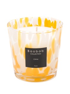 Baobab Collection ароматическая свеча Citrus Pearls