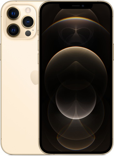 Смартфон Apple iPhone 12 Pro Max 128GB Gold (MGD93RU/A)