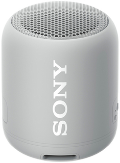 Портативная колонка Sony SRS-XB12 Gray