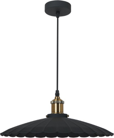 Светильник подвесной Camelion PL-427L C64