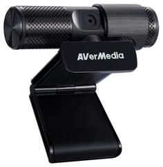 Веб-камера AVerMedia PW 313
