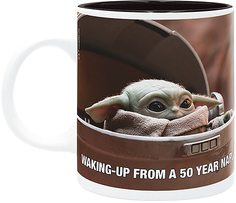 Кружка ABYstyle Star Wars: The Mandalorian - Baby Yoda Meme (ABYMUG811)